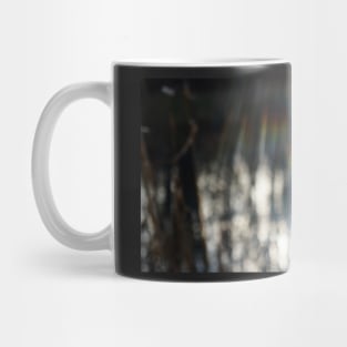 Queen Anne's Lace in Winter Mug